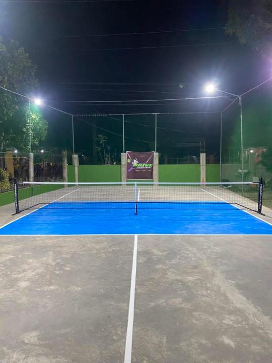 Drive Picklecourt pickleball court