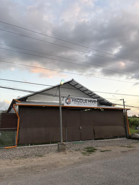 Paddle Hive pickleball court