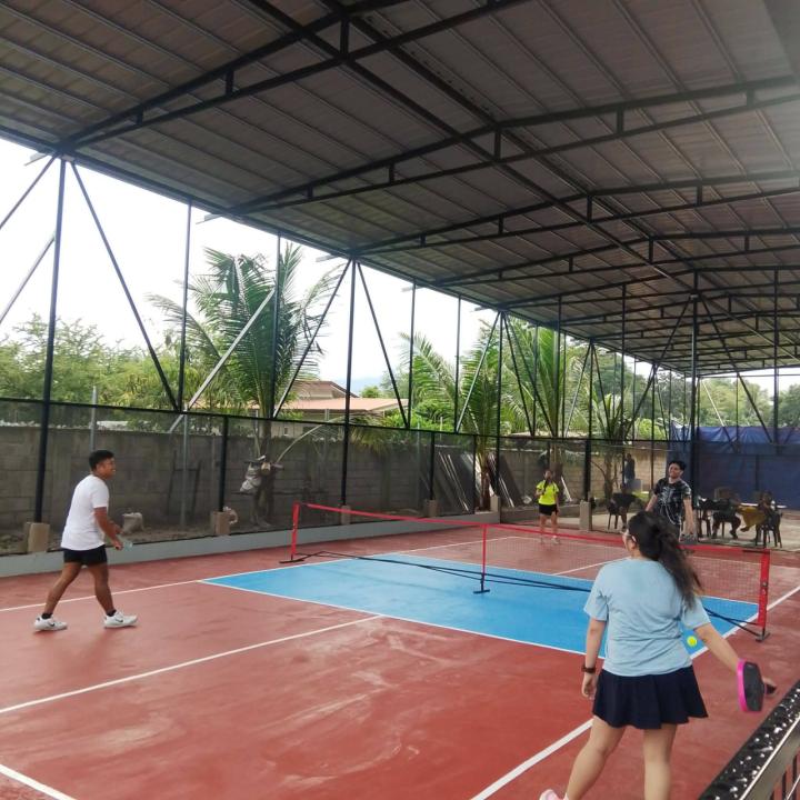 Power Bliss pickleball court