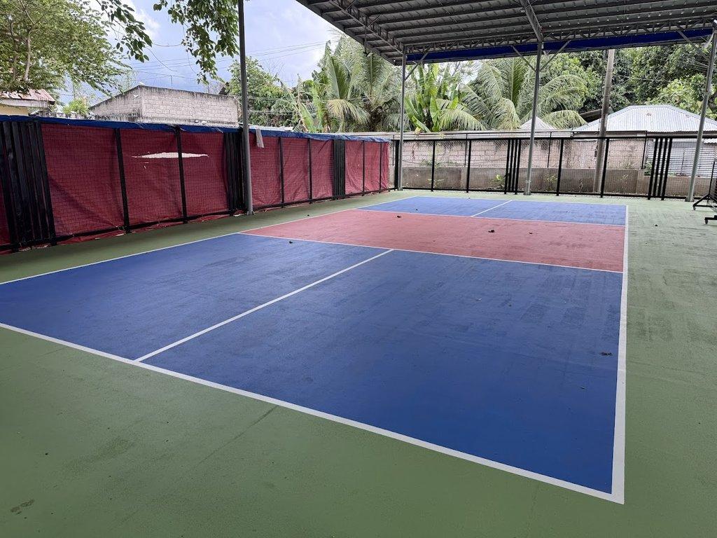 PicklerTown Pickleball pickleball court