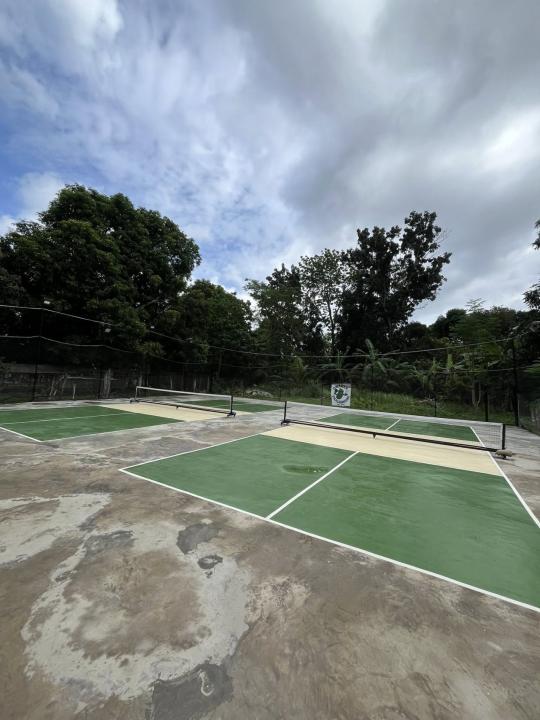 The Gnarly Pickleground pickleball court