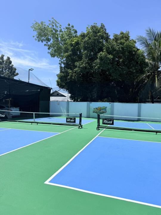 Picklesite pickleball court