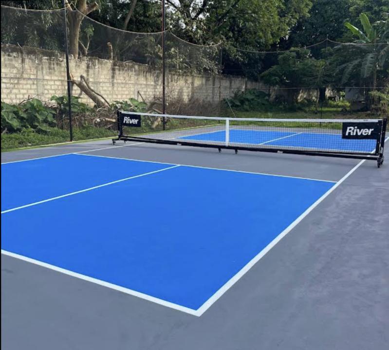 Bunny's Homecourt pickleball court